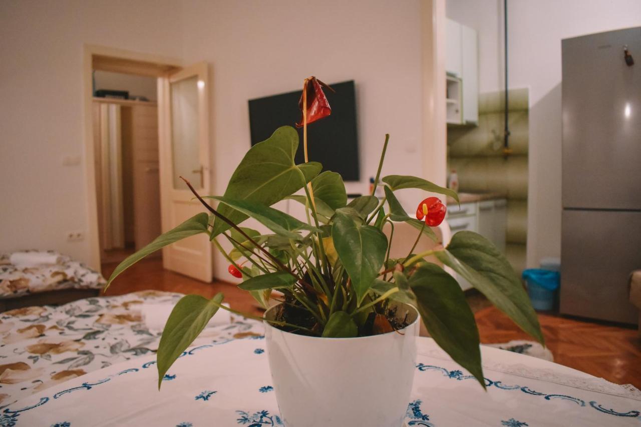 Nina Apartment Сараєво Екстер'єр фото